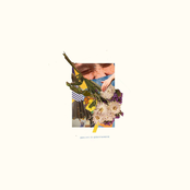 Beauty Is Everywhere