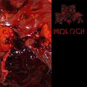 Meth Drinker/Moloch Split