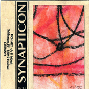 Synapticon