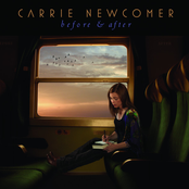 I Meant To Do My Work Today by Carrie Newcomer