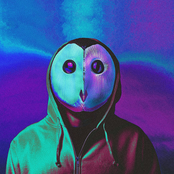 Could We Please Keep This Short