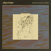 Allegra Krieger: Fragile Plane: B-Sides