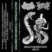 Brainsrejection Split