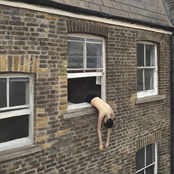 Lo Moon: I Wish You Way More Than Luck