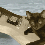 40°29'26"N,1°47'30"W