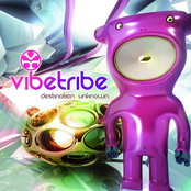 Electrified by Vibe Tribe