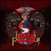 Uterus Insected