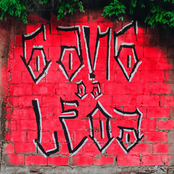 Gang da Leoa, Vol. 1