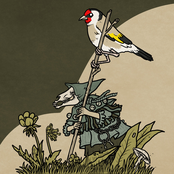 The Thorn: Of The Birds