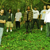 Sweet Sensi Dub Lyrics Chords By Fortunate Youth