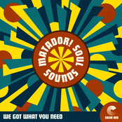 Matador! Soul Sounds: We Got What You Need