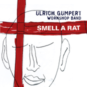 smell a rat