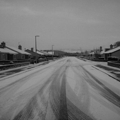 The Last Thing we need are Dogs in a Tunnel