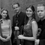 Carducci String Quartet