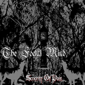 Severity Of Pain (Demo)