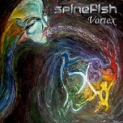 Act 2 by Spinefish