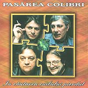 In Cautarea Cuibului Pierdut