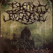 With Destruction, Comes Creation