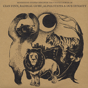 Moonshine Steppas Discover The Unified Power of Cian Finn, Radikal Guru, Alpha Steppa & Dub Dynasty