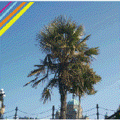 The Third Old Life Compilation