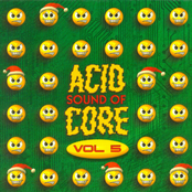 Sound Of Acid Core Vol 5