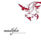 Talking to the Wind EP