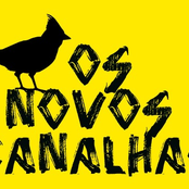 Novos Canalhas