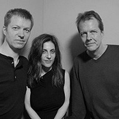 nels cline, andrea parkins & tom rainey