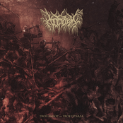 Твой выбор – твоя правда