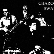charcoal swan