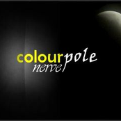 colourpole nerve