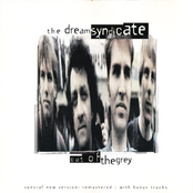 Shake Your Hips by The Dream Syndicate