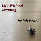 Life Without Meaning