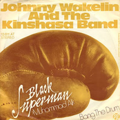 johnny wakelin & the kinshasa band