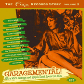 Garagemental! The Cuca Records Story Volume 2