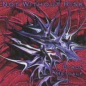 Not Without Risk by Byron Metcalf