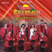 Sonora Skandalo: Grandes Exitos