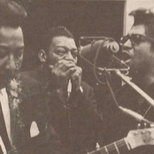 bo diddley & muddy waters & little walter