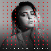 Burn It Down - Single