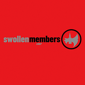 Fibreglass by Swollen Members