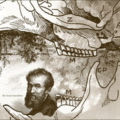 The Bone Burnisher