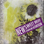 Acceleration and Distortion