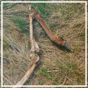 Esoteric Youth / Caïna