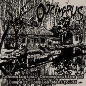 Cohomological Decomposition of Compact Complex Manifolds