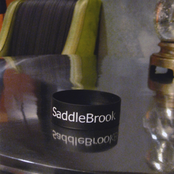 Saddlebrook: SaddleBrook