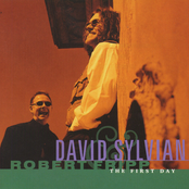 Firepower by David Sylvian & Robert Fripp