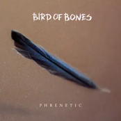 Phrenetic (feat. Daria Veligura)