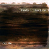 Birds Of Tin : Ene