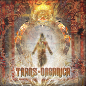 Trans-Organica, Vol. 1 (Trans-Organica)