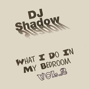 Badly Needed That by Dj Shadow